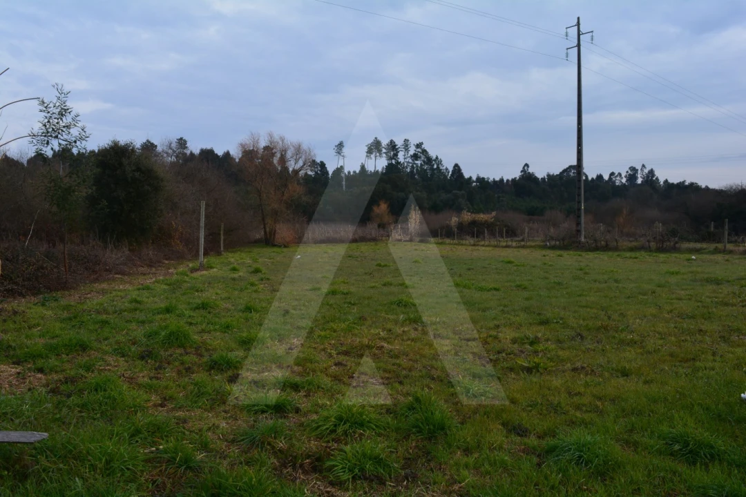 Terreno para Venda em Arcos e Mogofores Foto 1