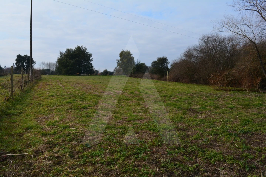 Terreno para Venda em Arcos e Mogofores Foto 8