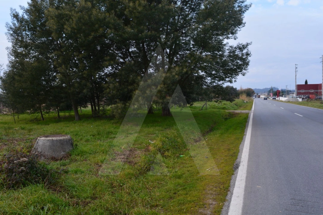 Terreno para Venda em Arcos e Mogofores Foto 9