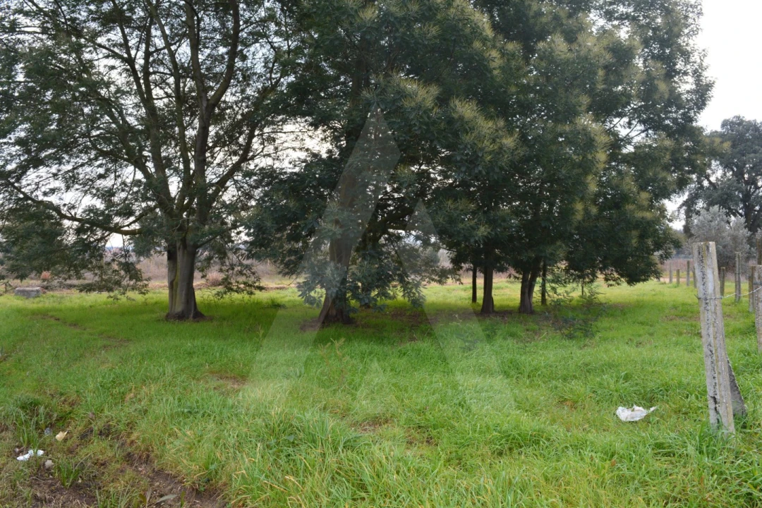Terreno para Venda em Arcos e Mogofores Foto 11