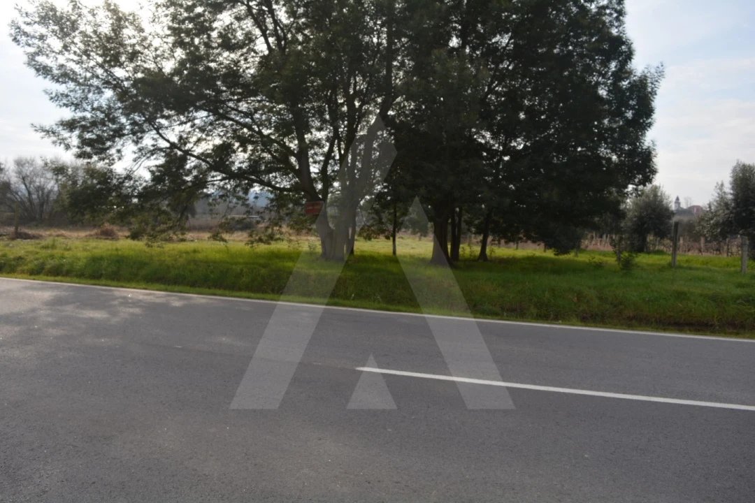 Terreno para Venda em Arcos e Mogofores Foto 13