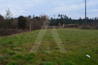 Terreno para Venda em Arcos e Mogofores