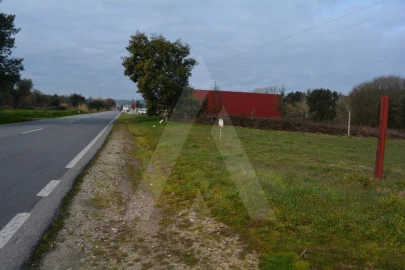 Terreno para Venda em Arcos e Mogofores
