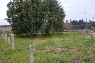 Terreno para Venda em Arcos e Mogofores