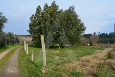 Terreno para Venda em Arcos e Mogofores