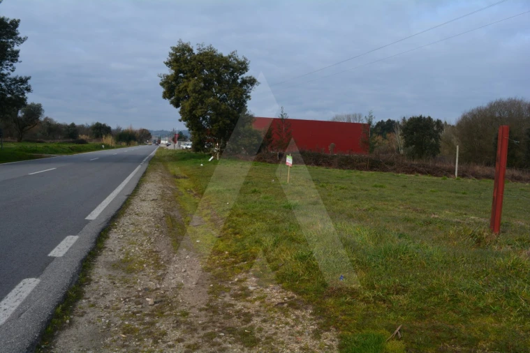 Terreno para Venda em Arcos e Mogofores Foto 2