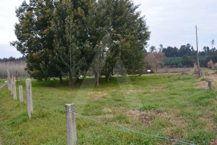 Terreno para Venda em Arcos e Mogofores Foto 10