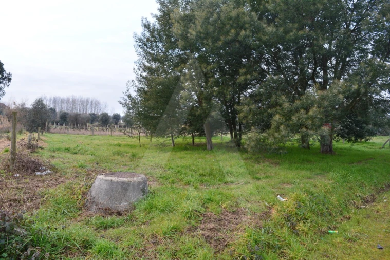 Terreno para Venda em Arcos e Mogofores Foto 12