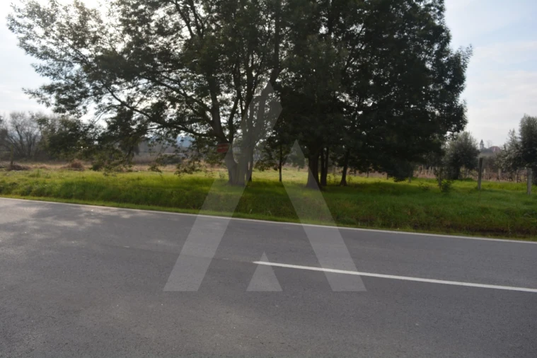 Terreno para Venda em Arcos e Mogofores Foto 13