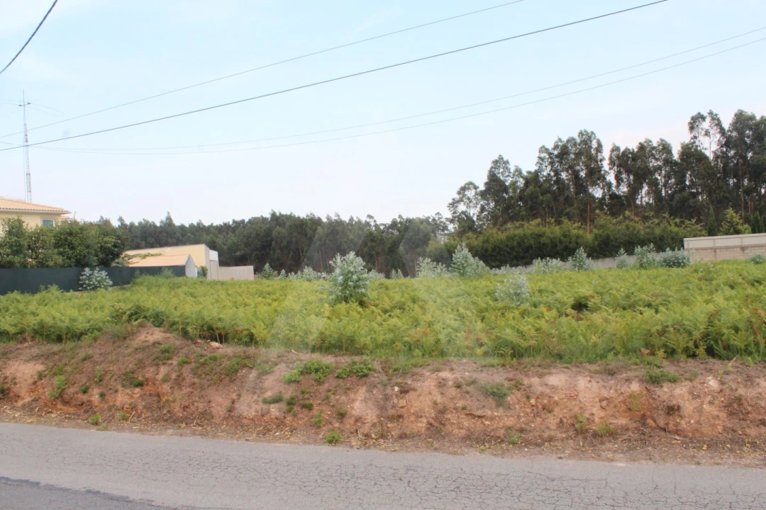 Terreno para Venda em Albergaria-A-Velha e Valmaior Foto 1