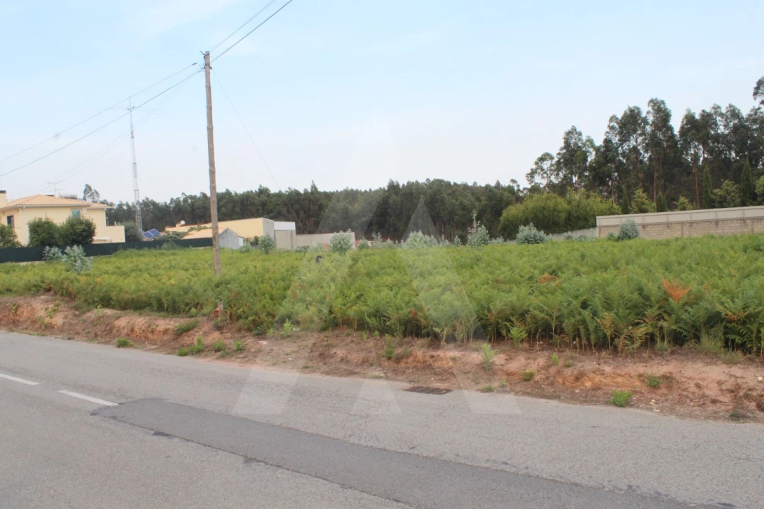 Terreno para Venda em Albergaria-A-Velha e Valmaior Foto 2