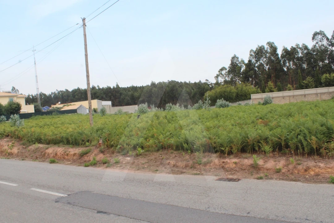 Terreno para Venda em Albergaria-A-Velha e Valmaior Foto 3