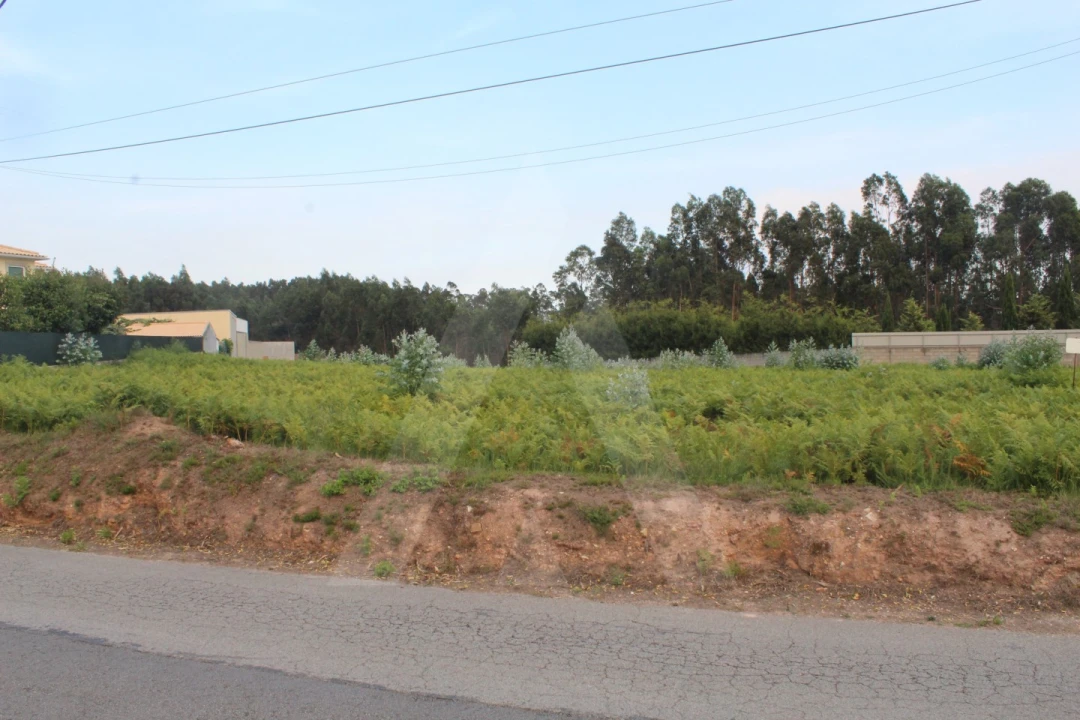 Terreno para Venda em Albergaria-A-Velha e Valmaior Foto 6