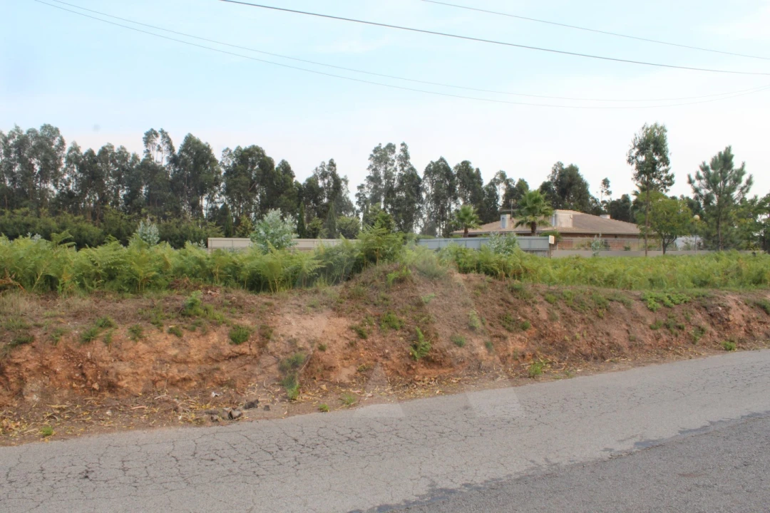 Terreno para Venda em Albergaria-A-Velha e Valmaior Foto 8