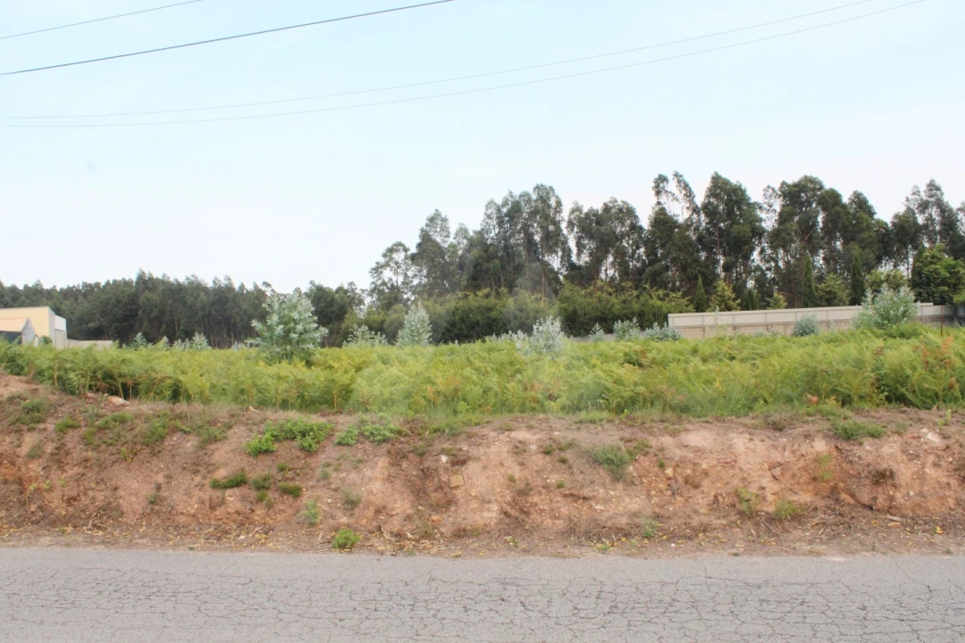 Terreno para Venda em Albergaria-A-Velha e Valmaior Foto 9