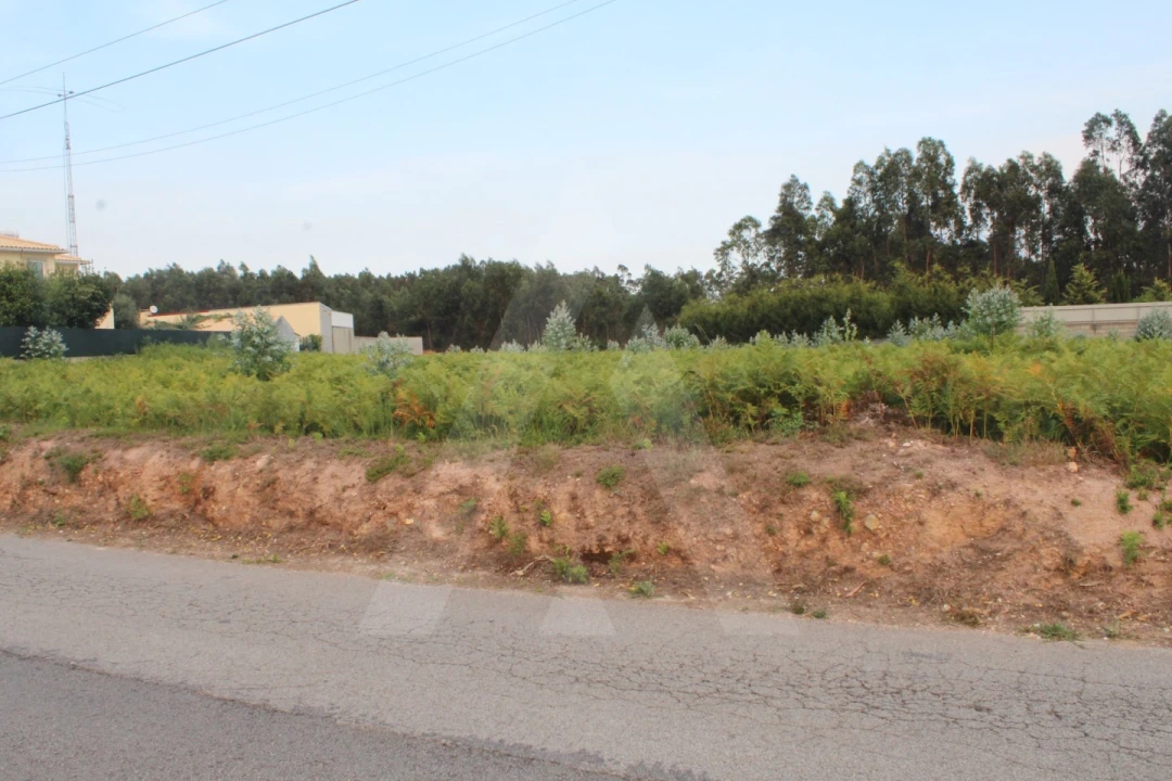 Terreno para Venda em Albergaria-A-Velha e Valmaior Foto 11