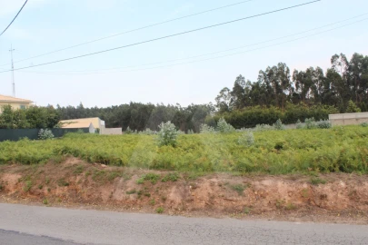 Terreno para Venda em Albergaria-A-Velha e Valmaior