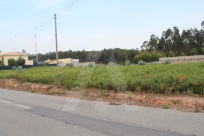 Terreno para Venda em Albergaria-A-Velha e Valmaior