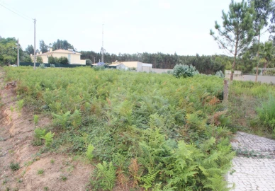 Terreno para Venda em Albergaria-A-Velha e Valmaior