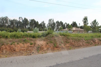 Terreno para Venda em Albergaria-A-Velha e Valmaior