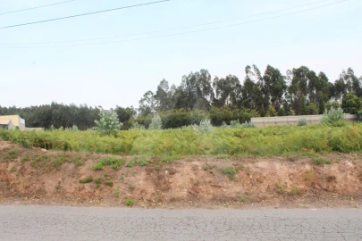 Terreno para Venda em Albergaria-A-Velha e Valmaior