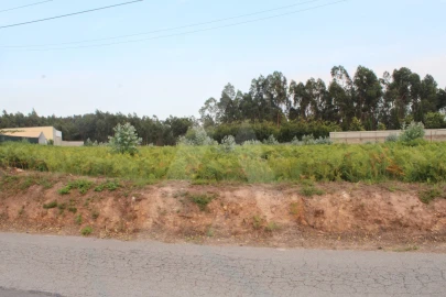 Terreno para Venda em Albergaria-A-Velha e Valmaior