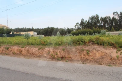 Terreno para Venda em Albergaria-A-Velha e Valmaior