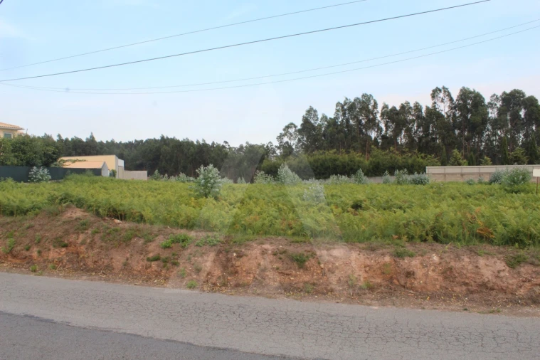 Terreno para Venda em Albergaria-A-Velha e Valmaior Foto 6