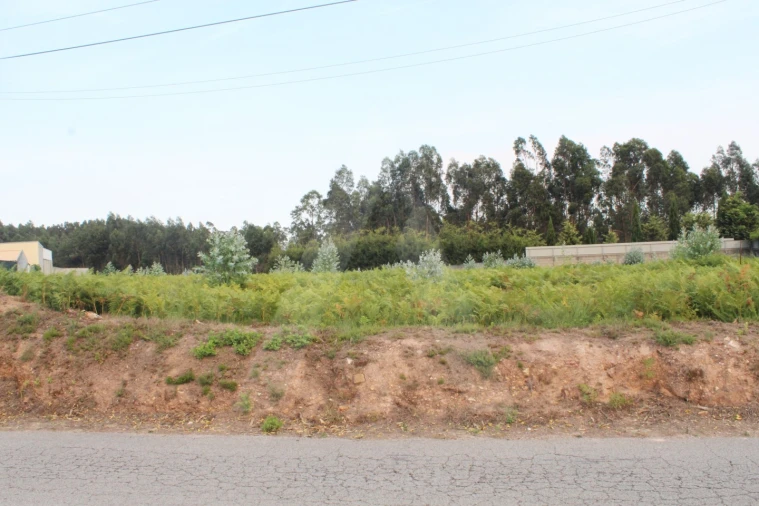 Terreno para Venda em Albergaria-A-Velha e Valmaior Foto 9