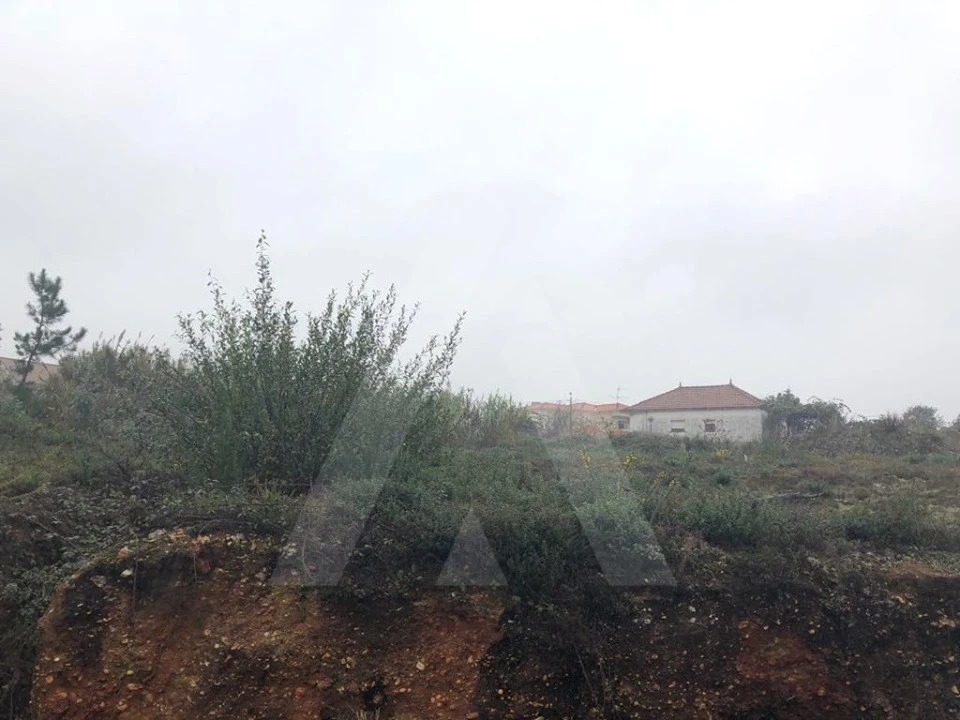 Terreno para Venda em Recardães e Espinhel Foto 3