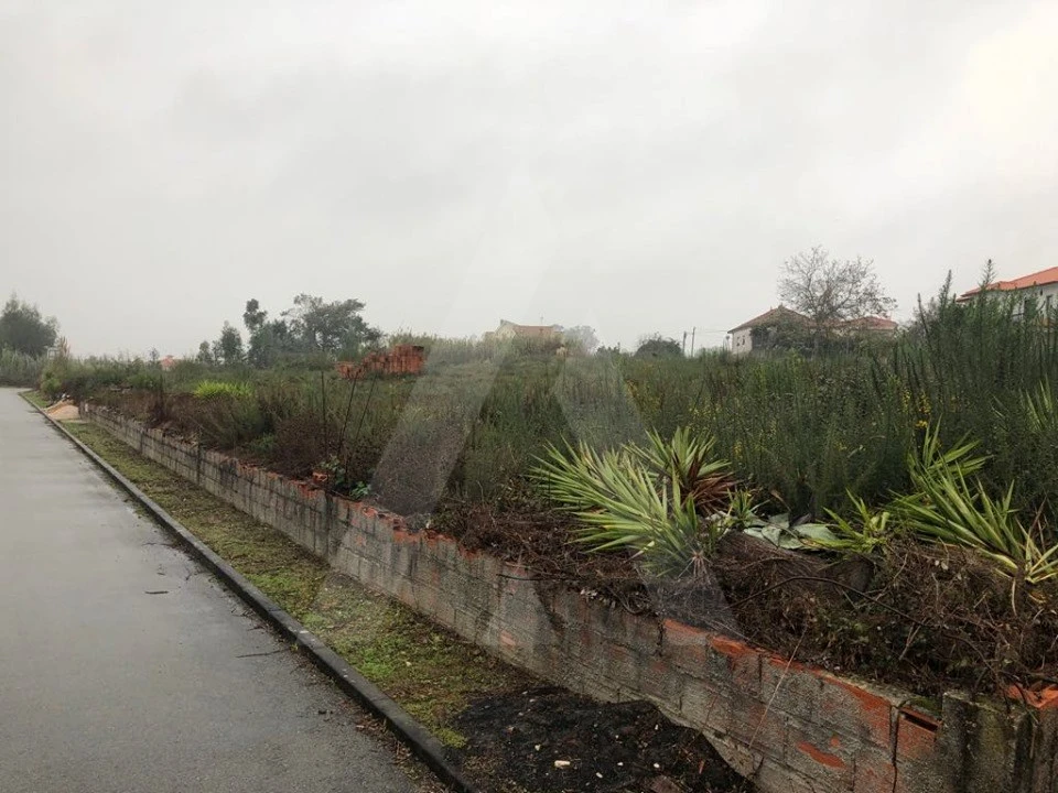 Terreno para Venda em Recardães e Espinhel Foto 4