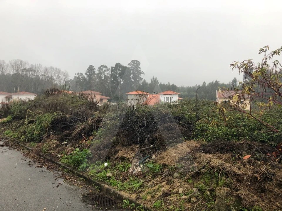 Terreno para Venda em Recardães e Espinhel Foto 5