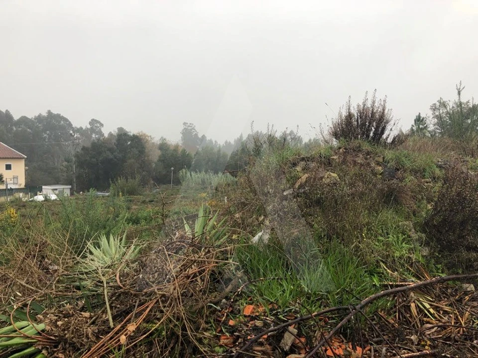 Terreno para Venda em Recardães e Espinhel Foto 6