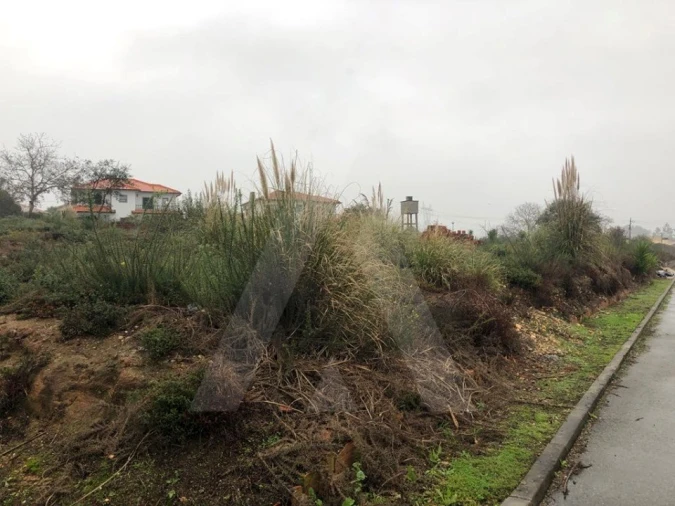 Terreno para Venda em Recardães e Espinhel