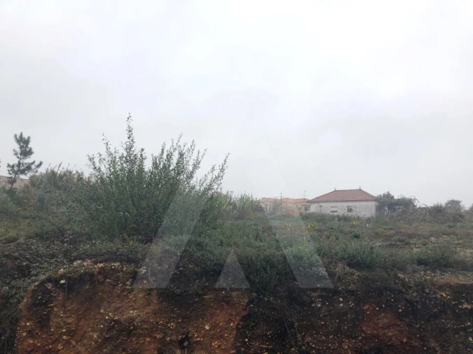 Terreno para Venda em Recardães e Espinhel Foto 3