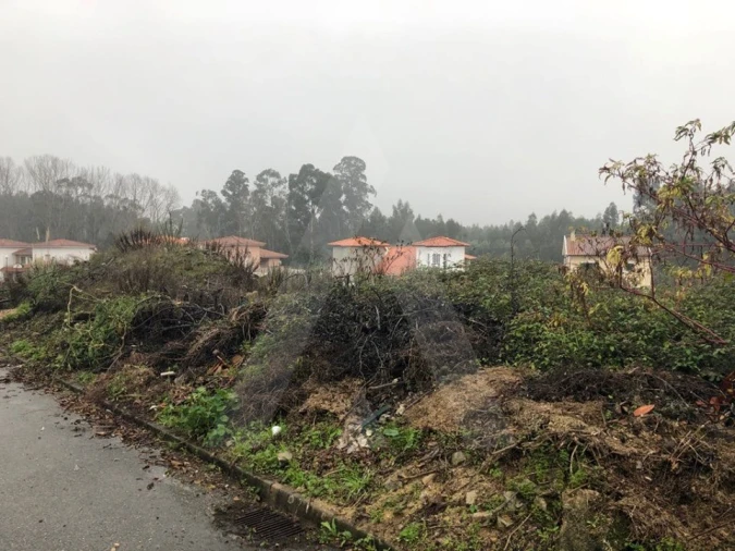 Terreno para Venda em Recardães e Espinhel Foto 5