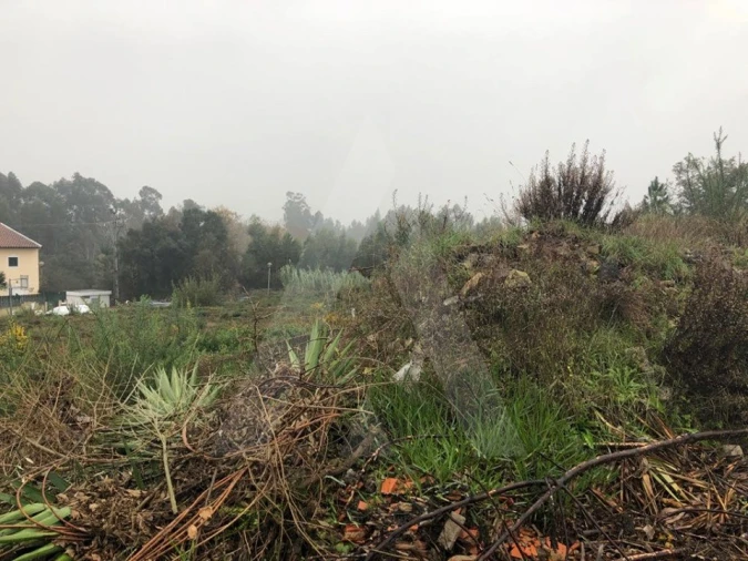 Terreno para Venda em Recardães e Espinhel Foto 6