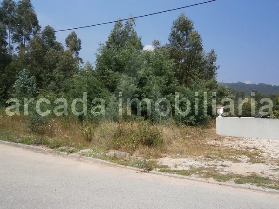 Terreno para Venda em Sever do Vouga Foto 2