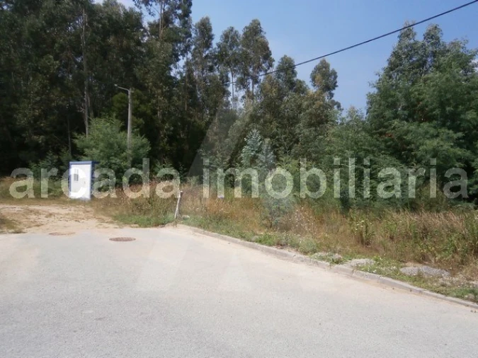 Terreno para Venda em Sever do Vouga Foto 3