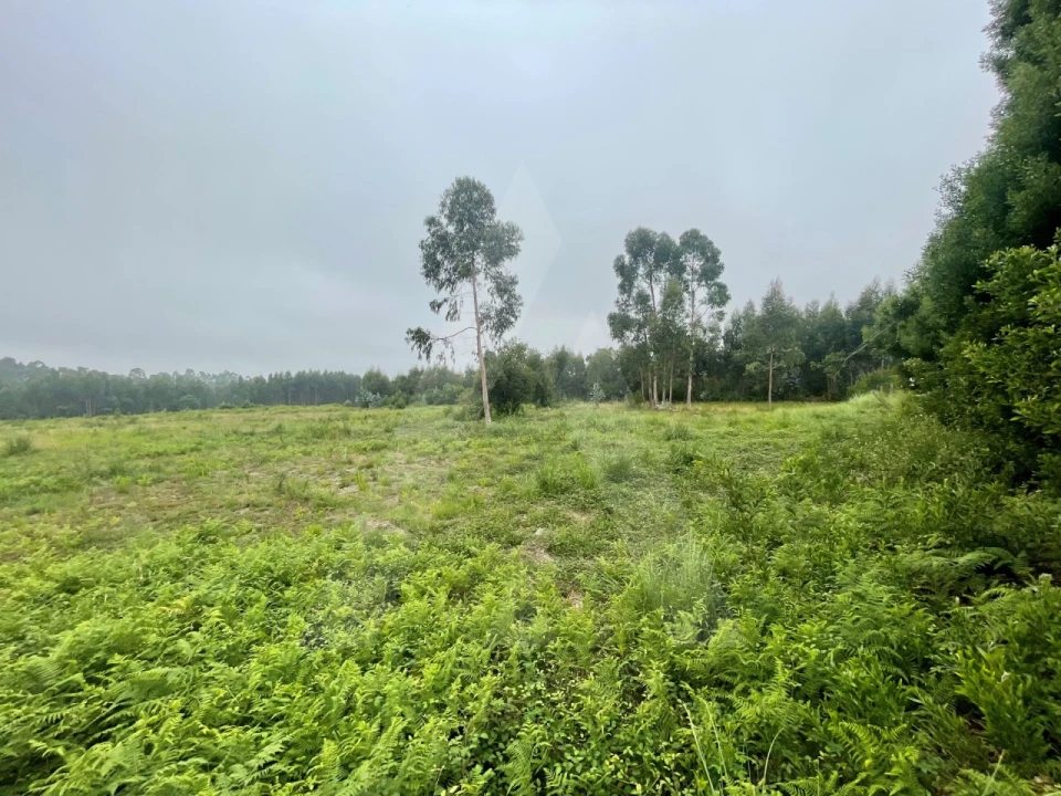 Terreno para Venda em Rio Meão Foto 3