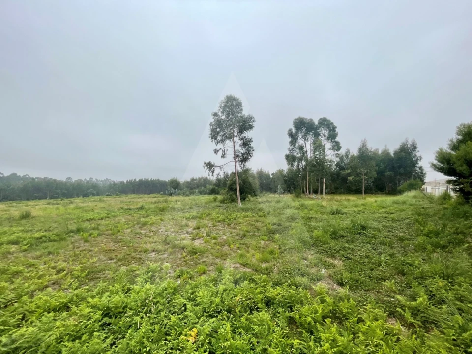 Terreno para Venda em Rio Meão Foto 6