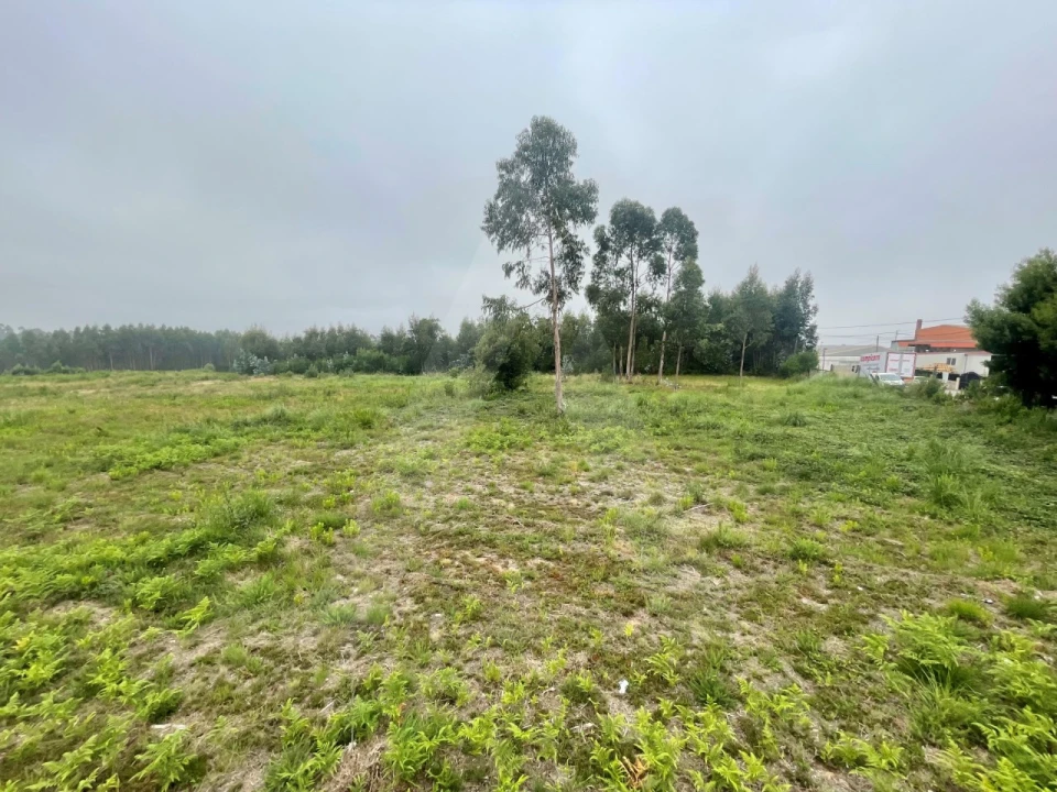 Terreno para Venda em Rio Meão Foto 7