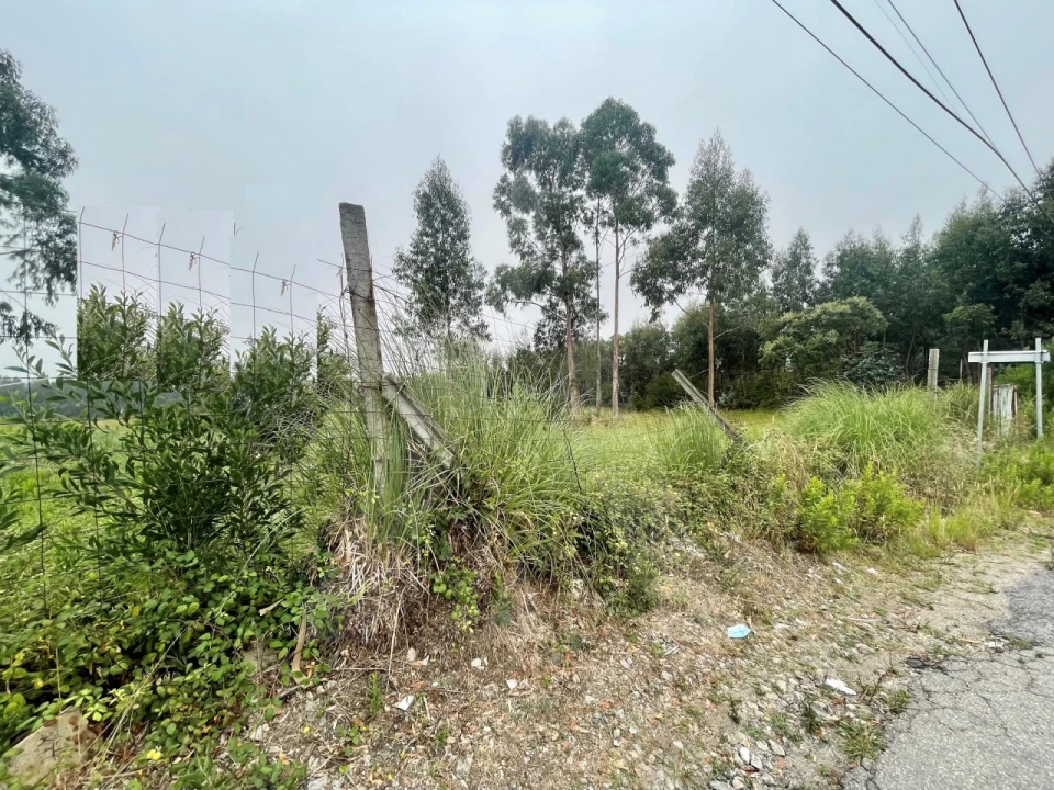 Terreno para Venda em Rio Meão Foto 9