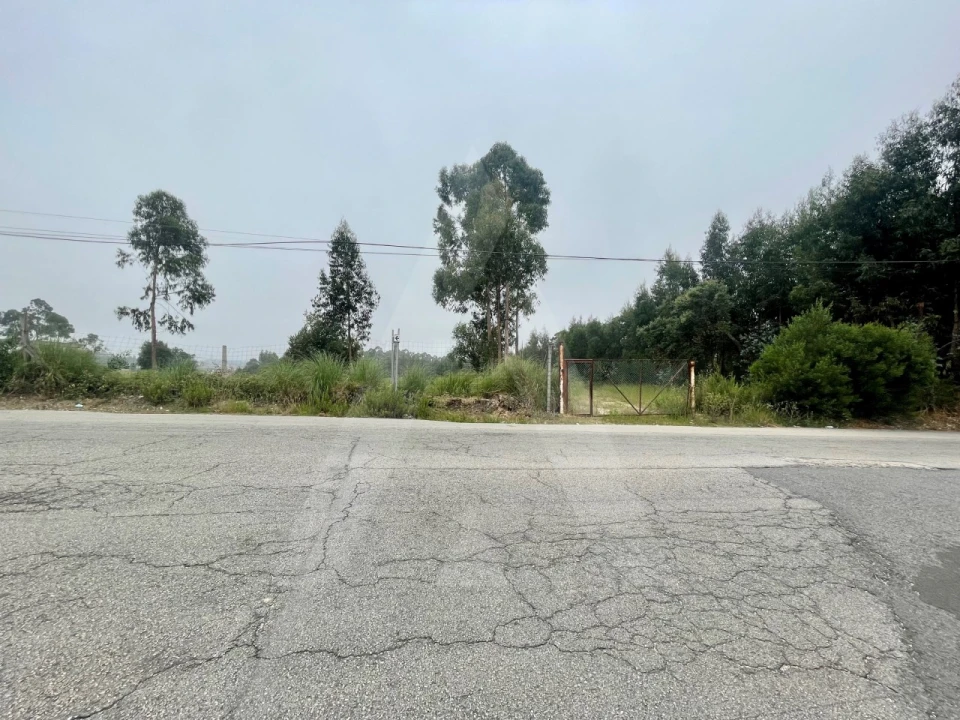 Terreno para Venda em Rio Meão Foto 10