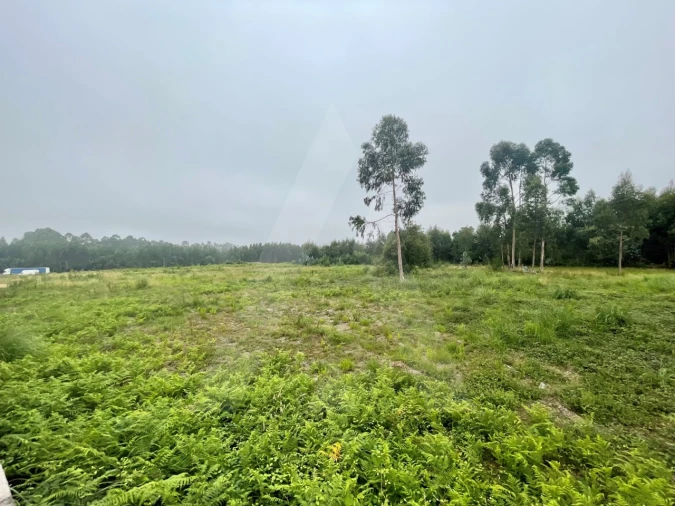 Terreno para Venda em Rio Meão