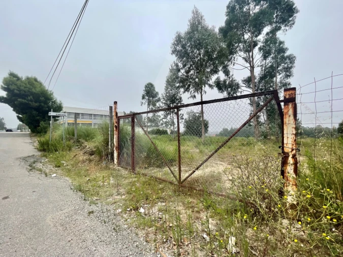 Terreno para Venda em Rio Meão Foto 2