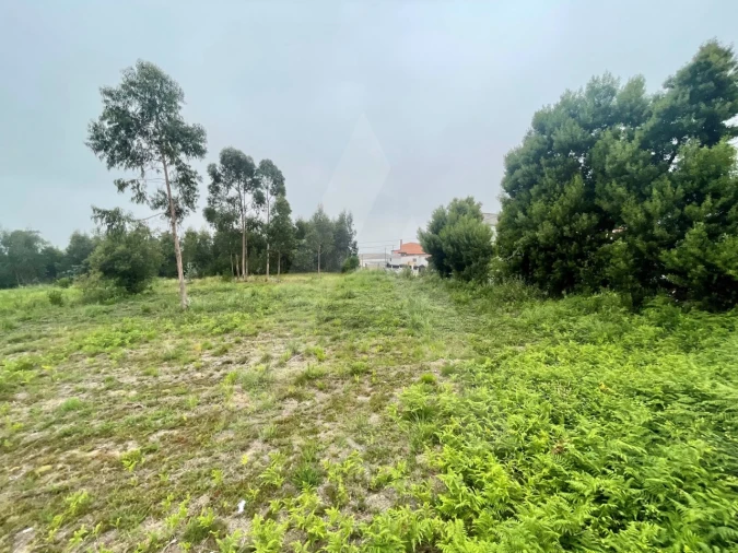 Terreno para Venda em Rio Meão Foto 4
