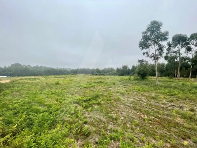 Terreno para Venda em Rio Meão Foto 5