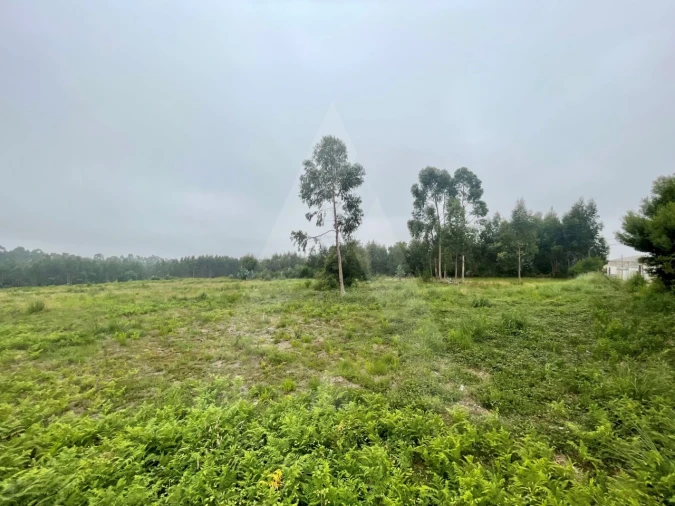Terreno para Venda em Rio Meão Foto 6