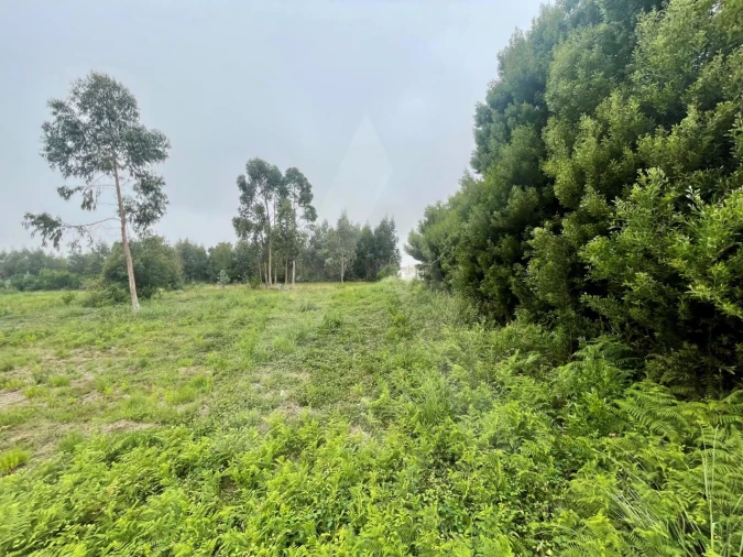 Terreno para Venda em Rio Meão Foto 8